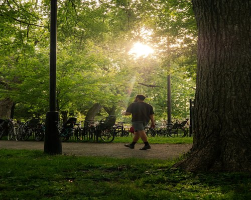 Person taking a walk in a sunny park after work